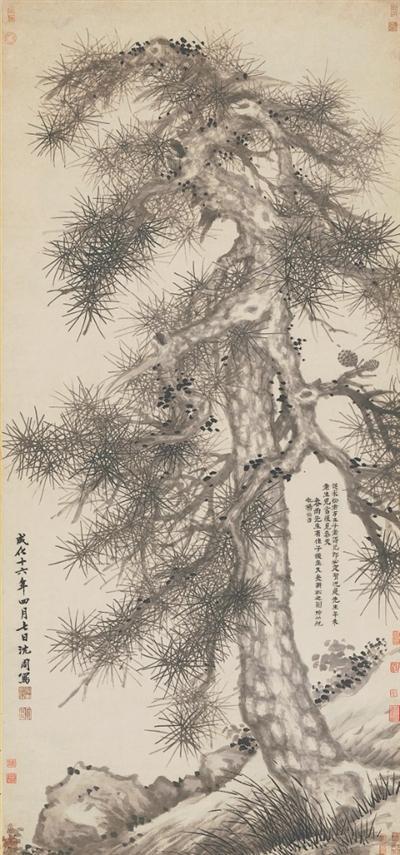  清明时节，感受草木里的生命美学