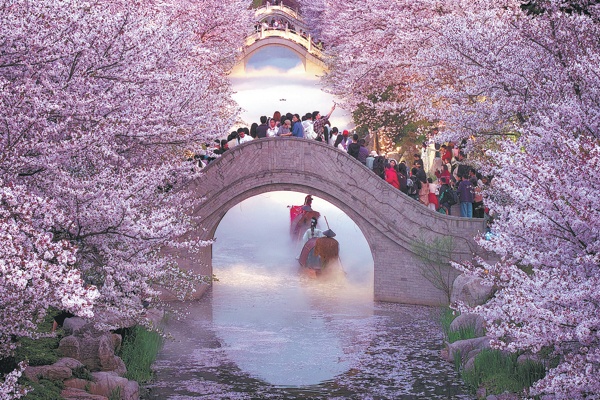  Springtime bolstering 'bloom
