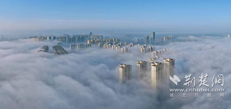  云端瞰荆门 城在画中游 雨后平流雾美出圈