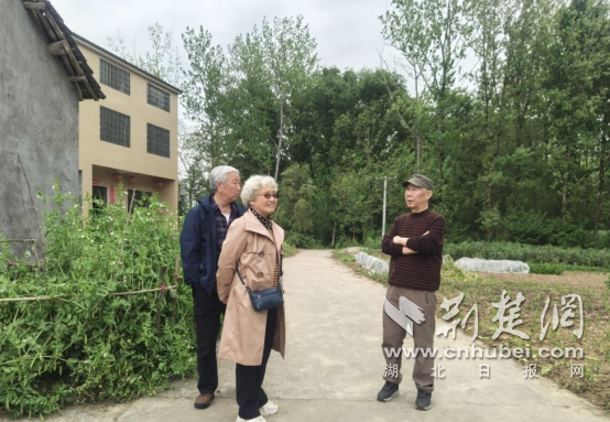 钟祥市文集镇：知青返乡探故里 欢声笑语忆峥嵘