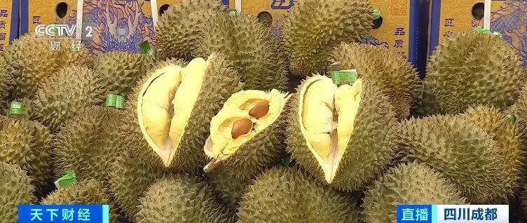 价格大降！2万吨榴莲要来了（附选购指南）