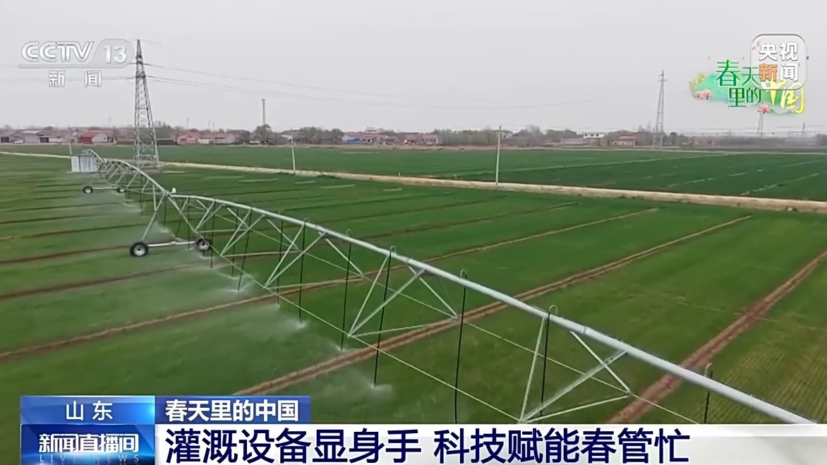 春天里的中国丨从田间到花海 在春色里感受蓬勃生机
