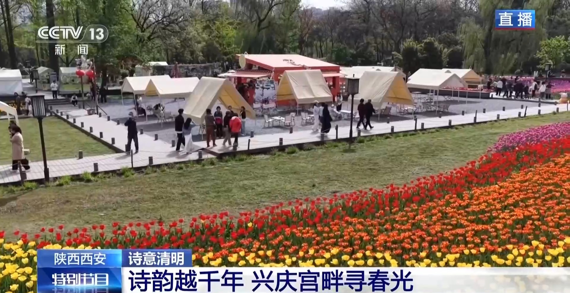 跟着诗词去旅游 感受西安春天的美好与活力