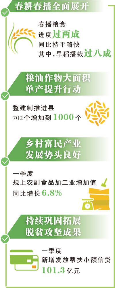 春播粮食进度过两成，农民收入稳定增长 农业农村经济发展势头好（权威发布）