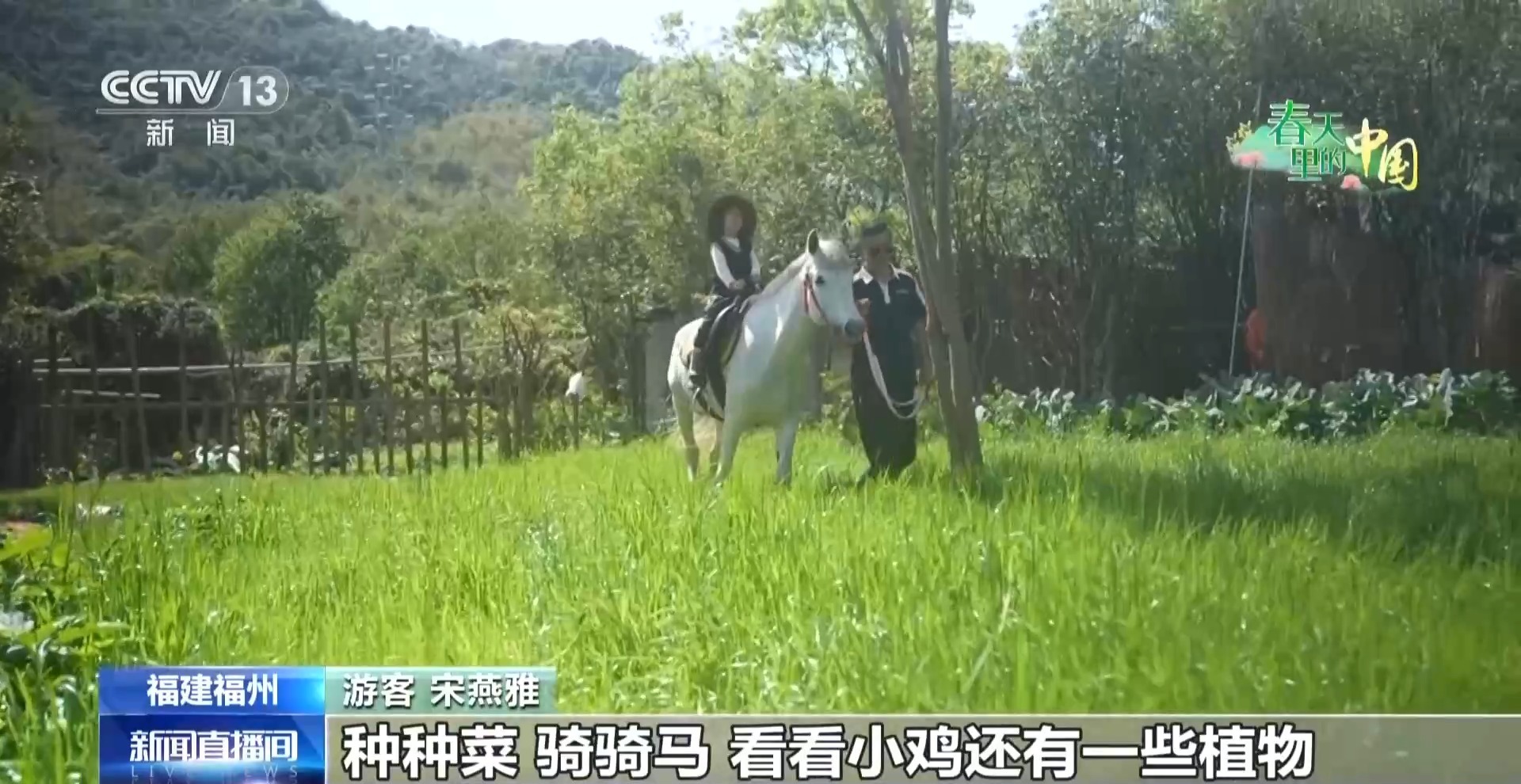 从种菜到研学 “共享菜园”里竟藏着这么多乐趣