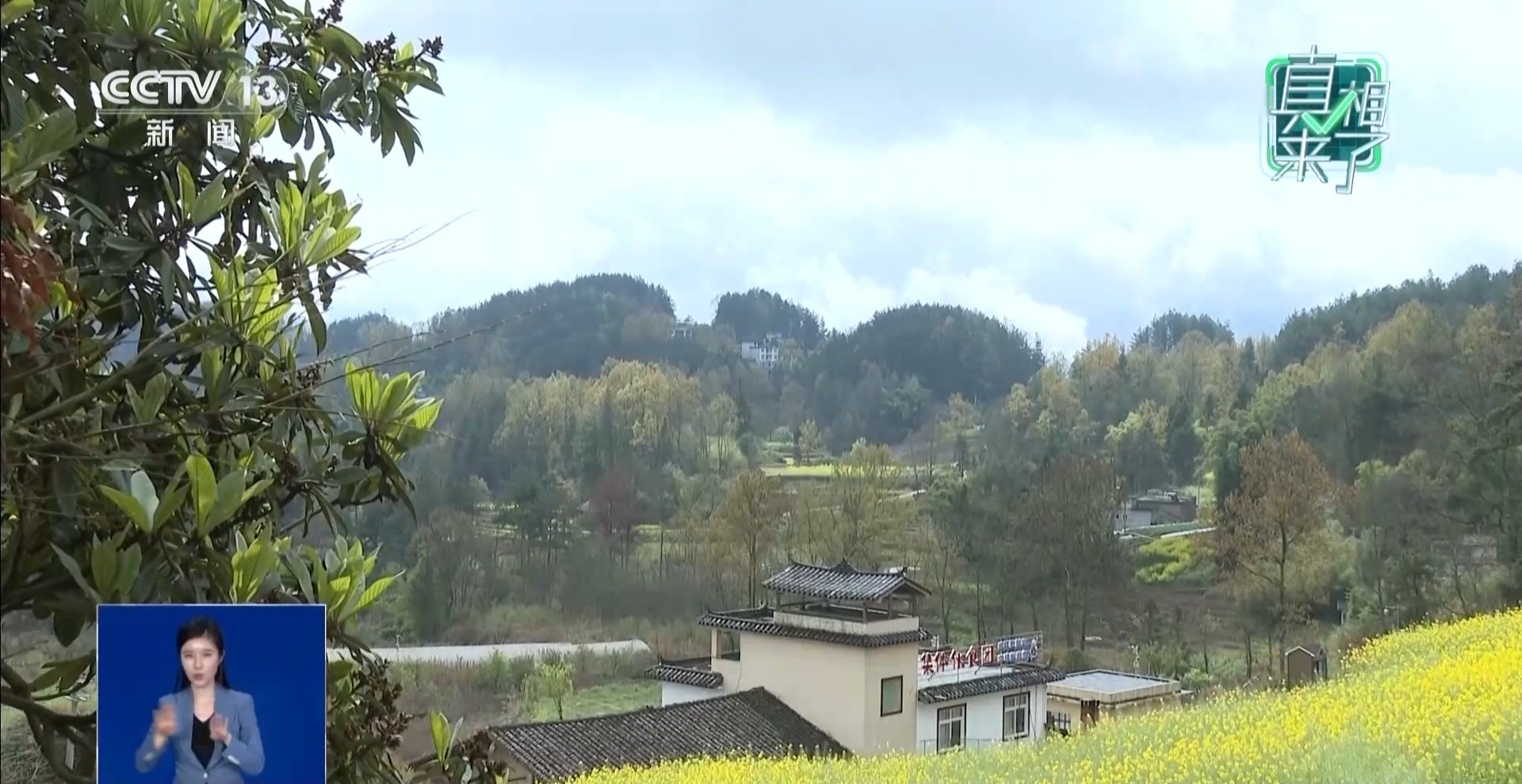 为博眼球发视频造谣村里有老虎 警方：依法查处