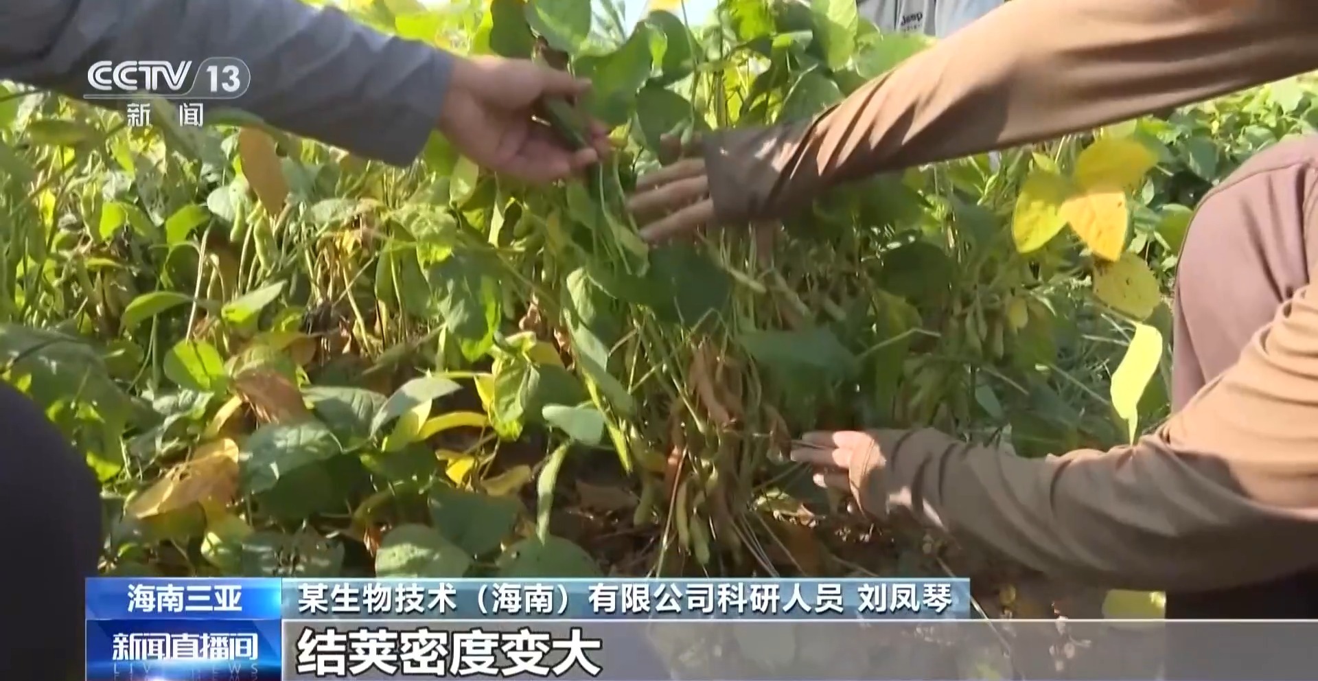 优异性状后代品种筛选出来了！“太空种子”5月或将“北上”试种