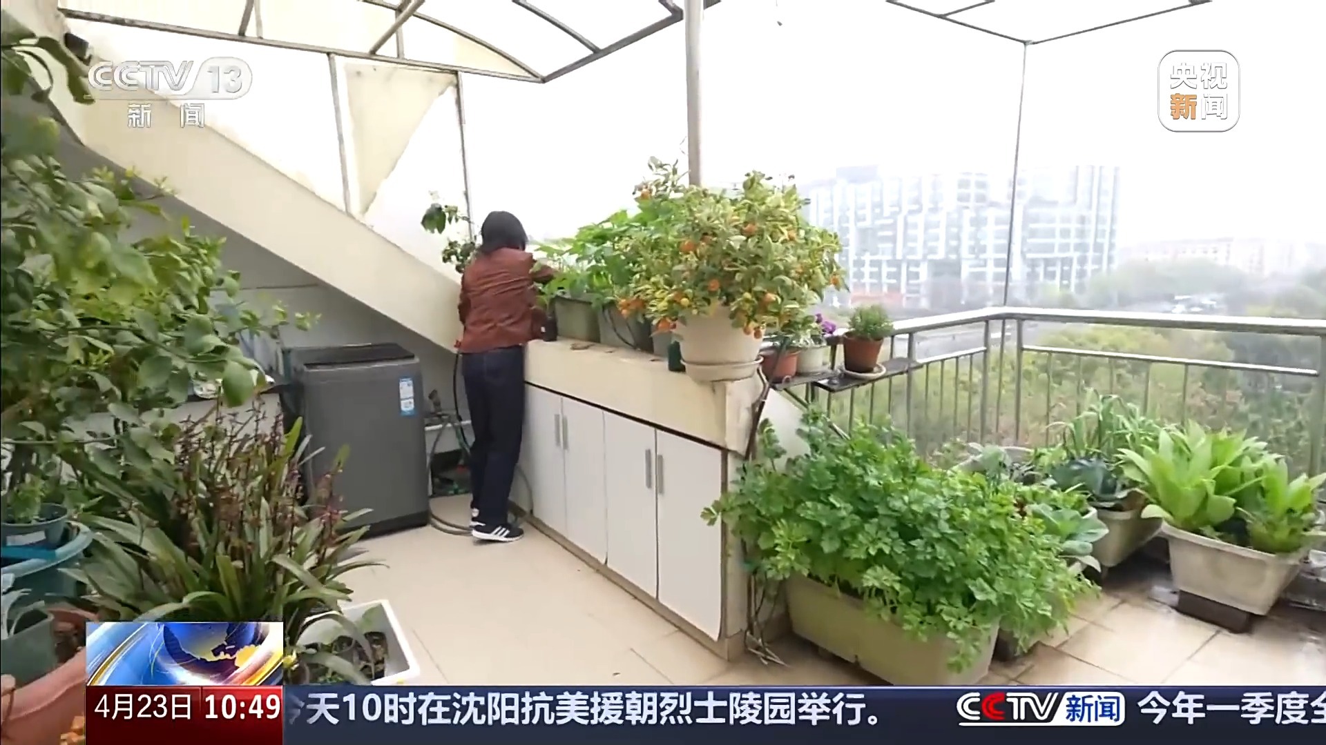 从阳台种植到农场“掌门人” 现代农业的新赛道