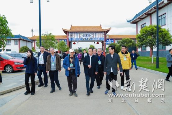 专家学者齐聚钟祥 共探区域长寿高质量发展新路径