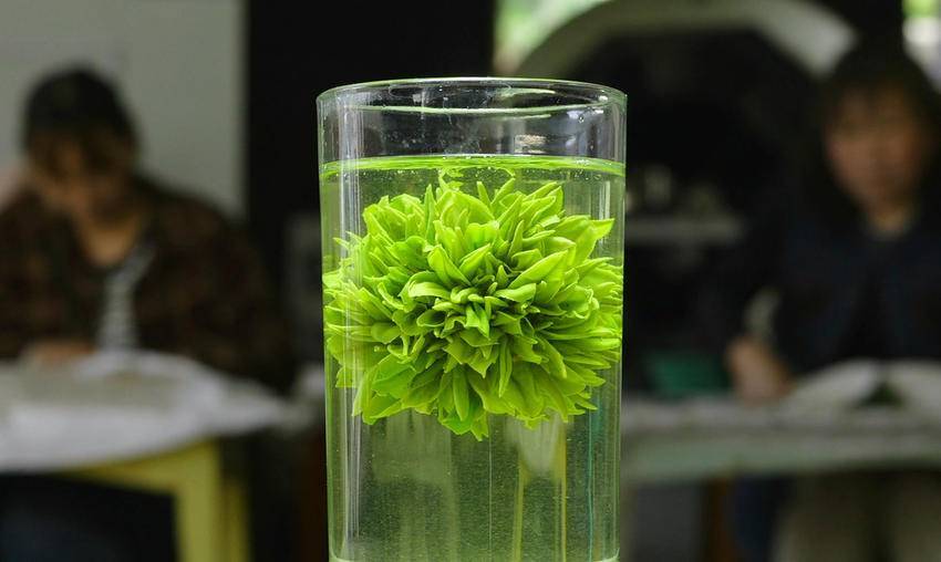 PG电子平台保康堰坪村：技艺“复活”茶香“生金”(图8)