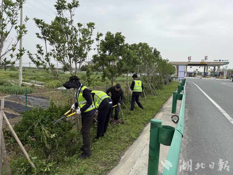 春日添绿扮靓高速 匠心打造司乘舒心旅途