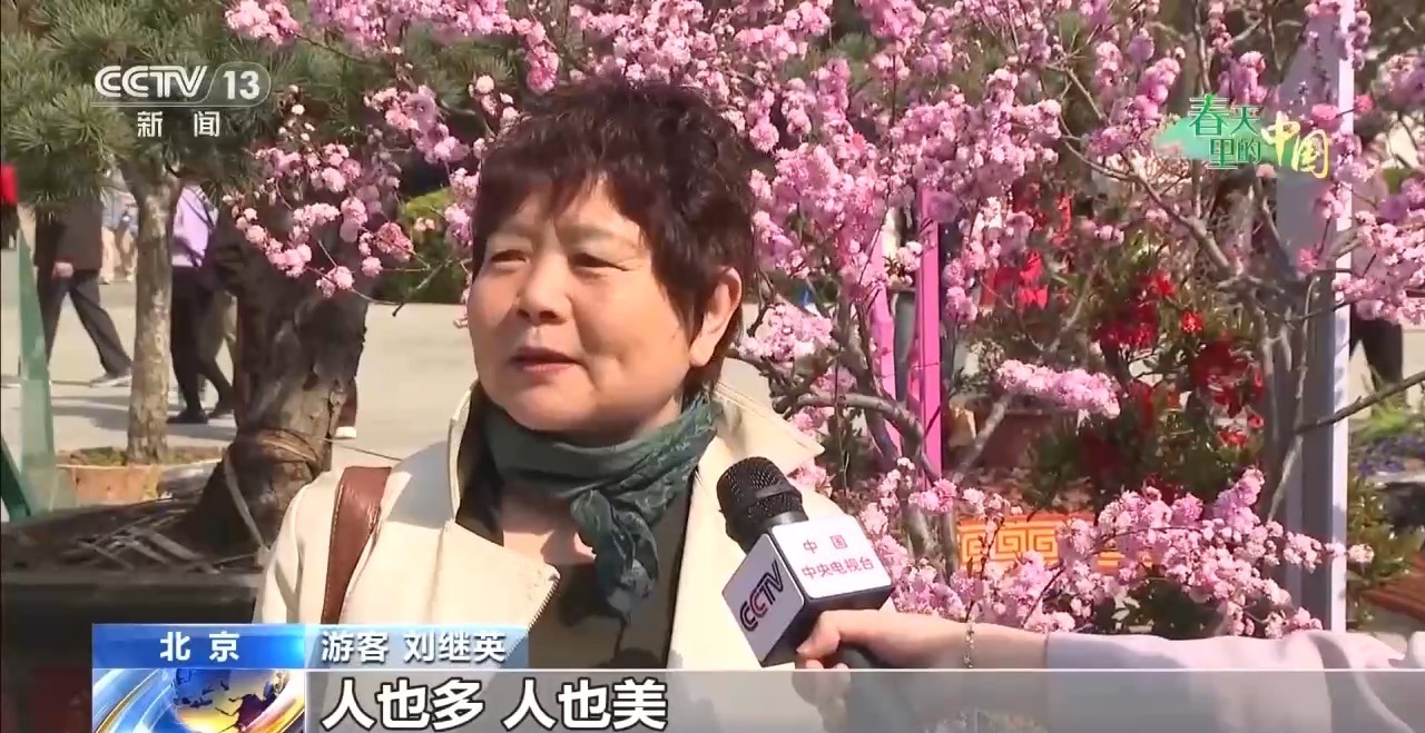 赏花+休闲+消费 大美春光催生文旅消费热潮
