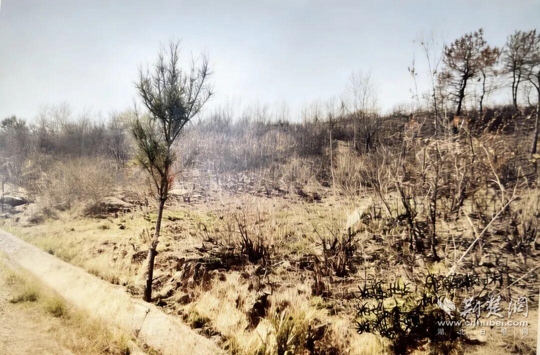 清明防火 莫让哀思毁青山