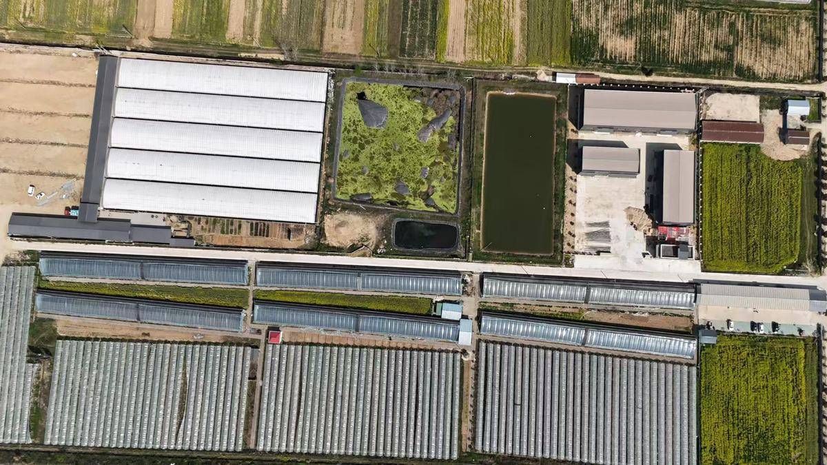 “60后”父亲回乡养猪“90后”海归女儿接棒罗田父女在大别山打造零排放养猪场(图3)