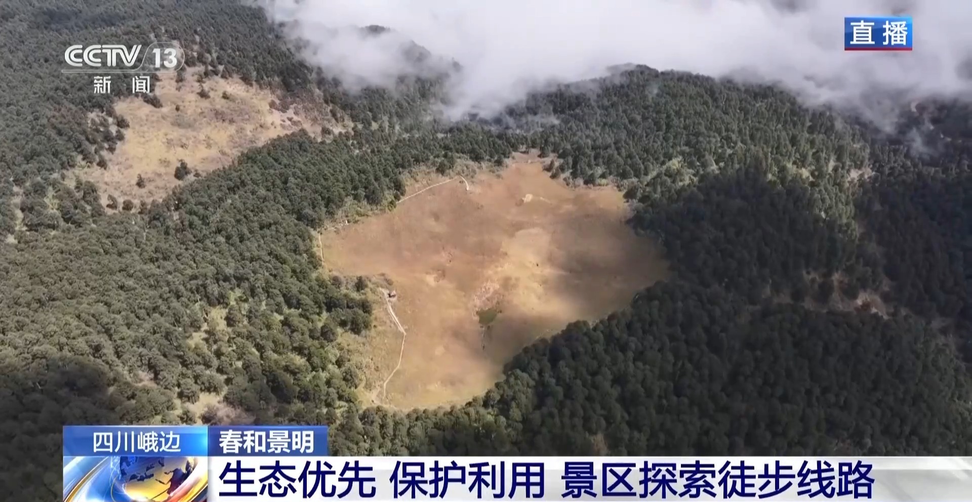 感受原始森林勃勃生机 带你探索乐山黑竹沟景区徒步线路