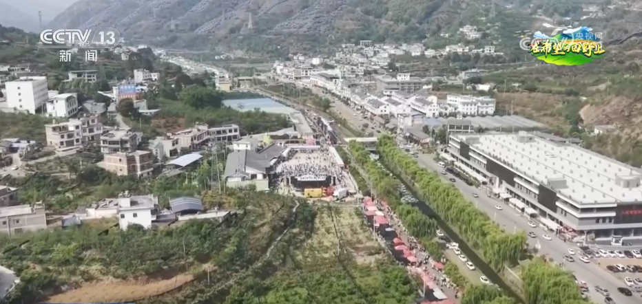 “以果富民”“以果促旅”谋发展 小樱桃撬动大产业拓展乡村振兴路