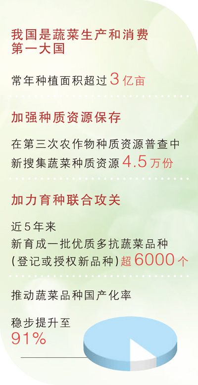 瞧瞧菜篮子里的新变化（经济聚焦·农田里的新鲜事）