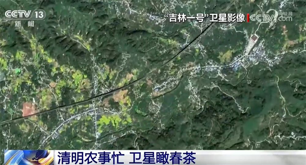 “以茶富民”“以茶促旅”谋振兴 春茶产业走出“农文旅”融合发展新模式