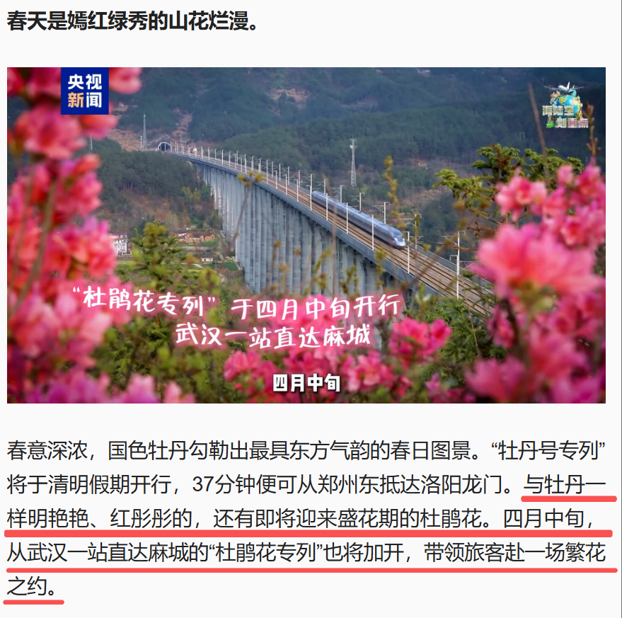  跟着央视去赏花！麻城杜鹃花专列启程，邂逅北纬30°的浪漫花海