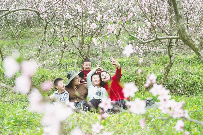  湖北秭归：花绽山村引客来