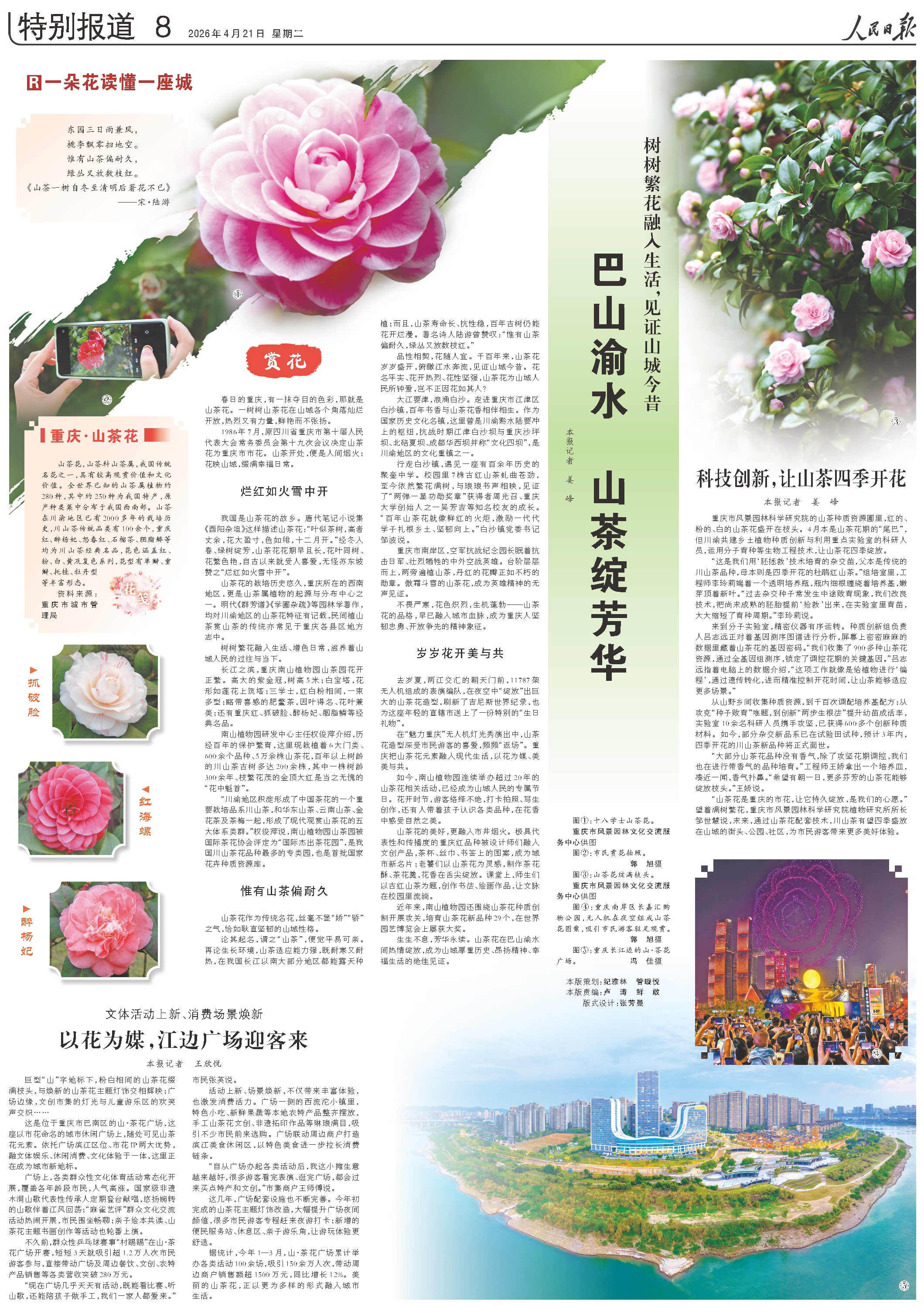 这朵花在川渝地区开了2000多年，见证山城今昔