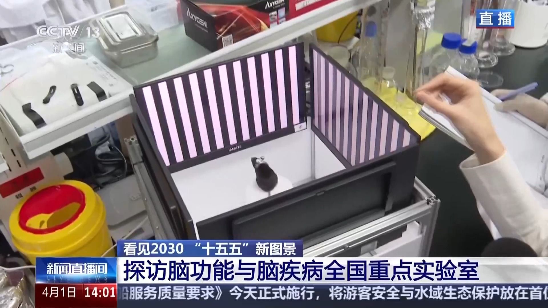 看见2030“十五五”新图景丨脑机接口加速落地 拓展多元应用新场景