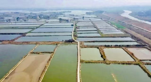  金融活水精准滴灌 中行荆州松滋支行1000万贷款助力水产企业扬帆远航