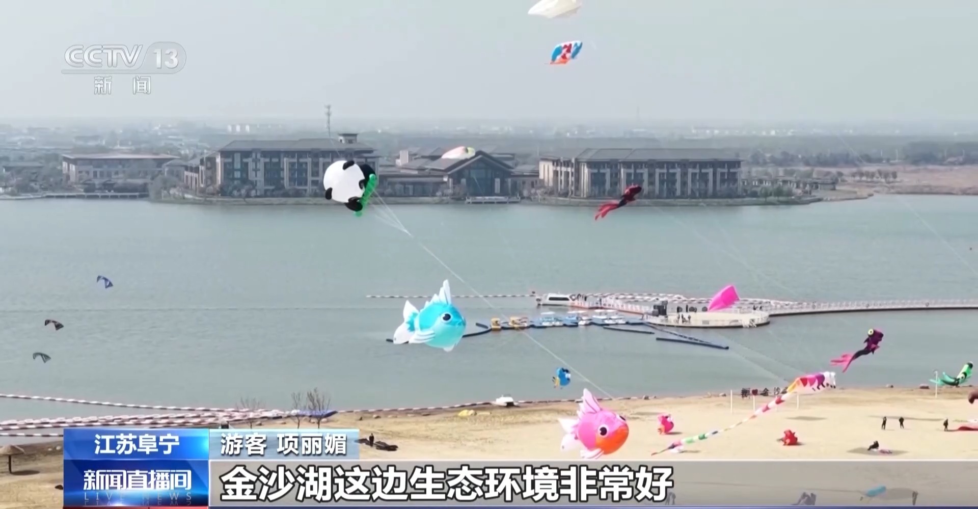  放风筝、观海鸥……清明踏青尽享春日勃勃生机