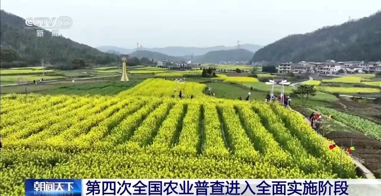 卫星+AI助力摸清“家底” 第四次全国农业普查全面实施