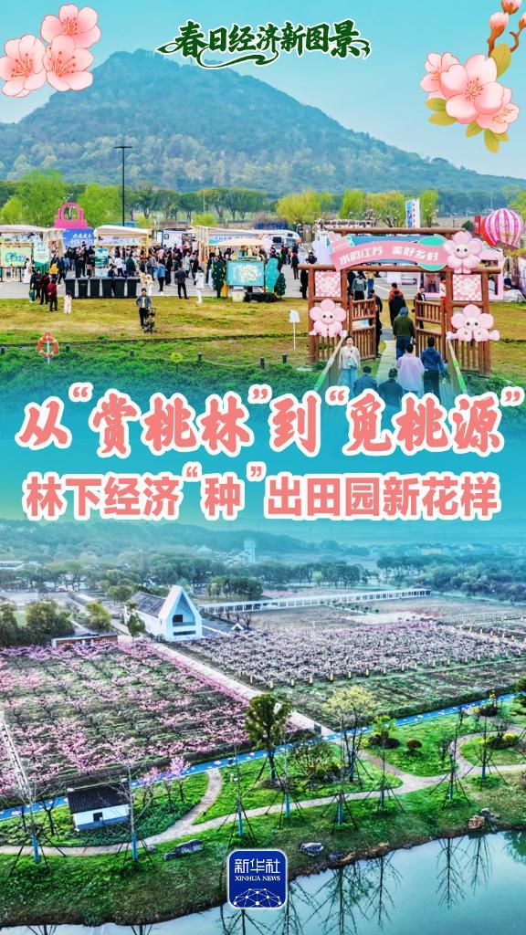 春日经济新图景｜从“赏桃林”到“觅桃源”，林下经济“种”出田园新花样