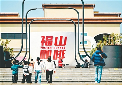 自贸港政策将助海南咖啡香飘岛外