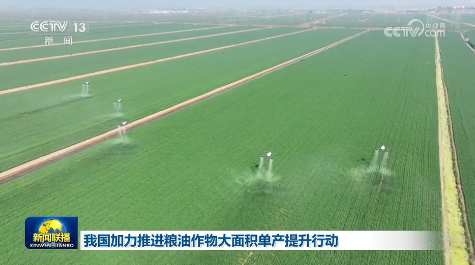 我国加力推进粮油作物大面积单产提升行动