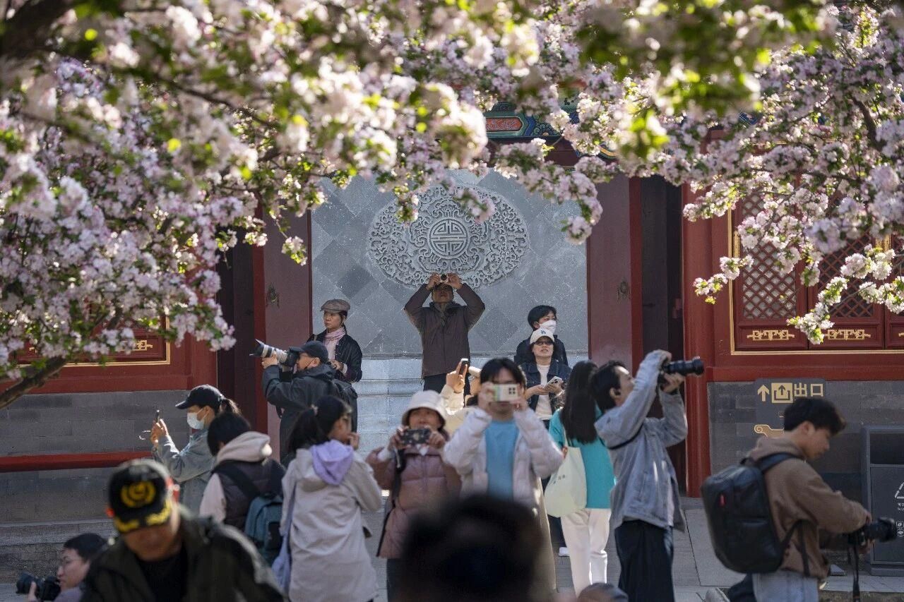 全民“追花地图”！原来有这么多“花样”玩法