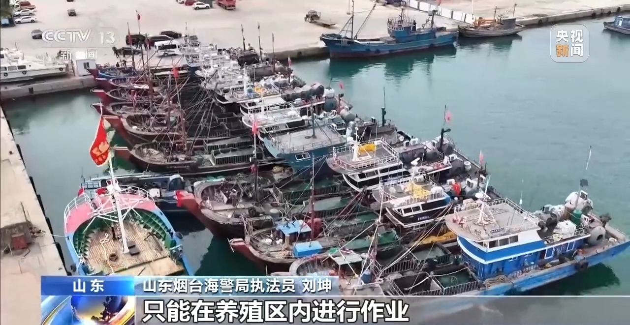  保护海洋自然资源 海警依法查处两起破坏海洋生态违规案件