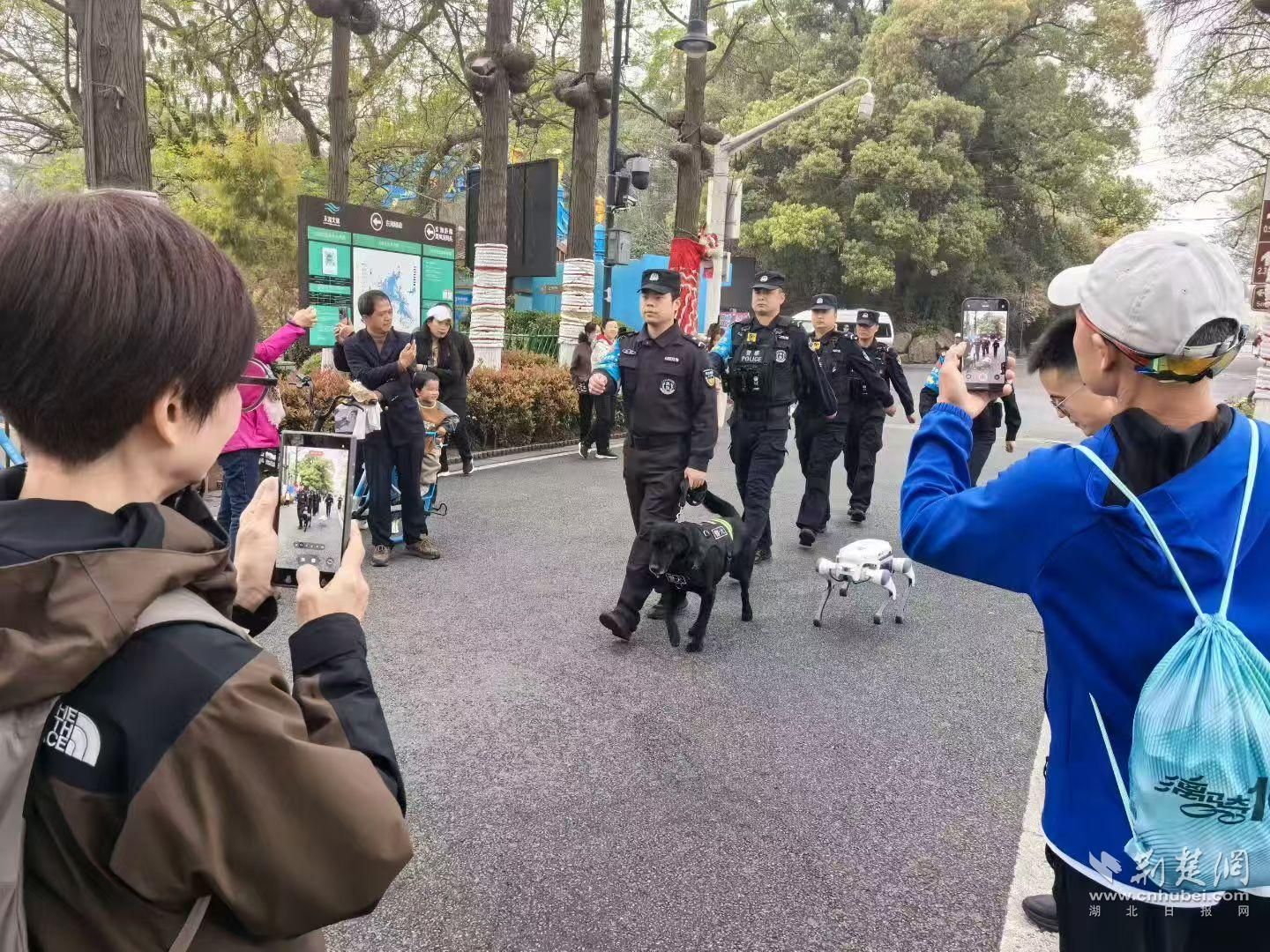 赴一场春日花约 守一路平安相伴 武汉全力护航春日踏青赏花季