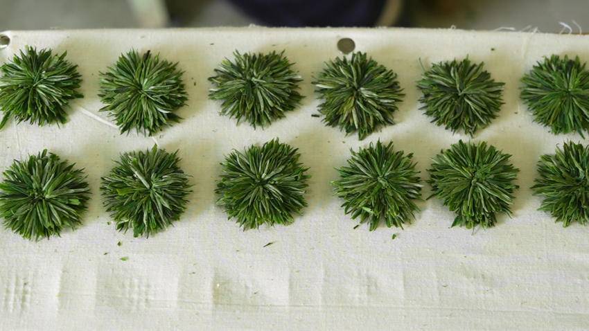 PG电子平台保康堰坪村：技艺“复活”茶香“生金”(图5)