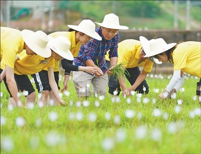 学农不“土”课表很“潮”！看袁隆平母校新农科如何育人