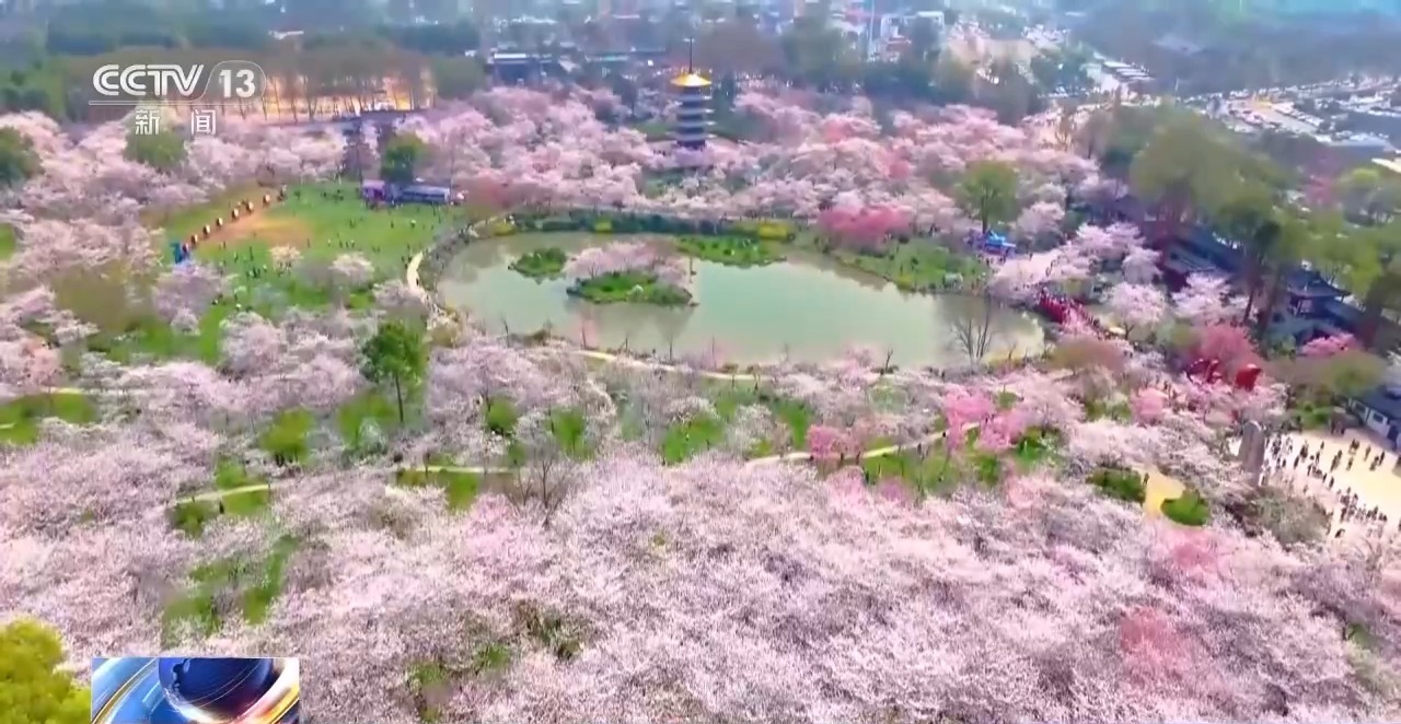 一票多用！“票根经济”激发武汉消费活力
