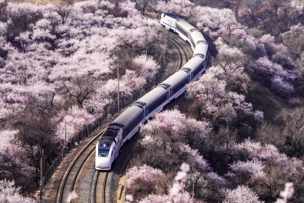  开往春天的列车，下一站：春和景明