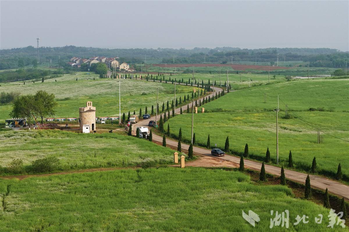 藏在武汉江夏的“托斯卡纳” 绘就乡村振兴新图景