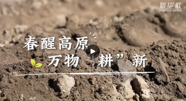 春醒高原 万物“耕”新