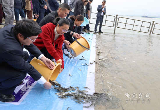 因破坏水生物生态环境，阳新4家企业领“增殖放流”惩罚