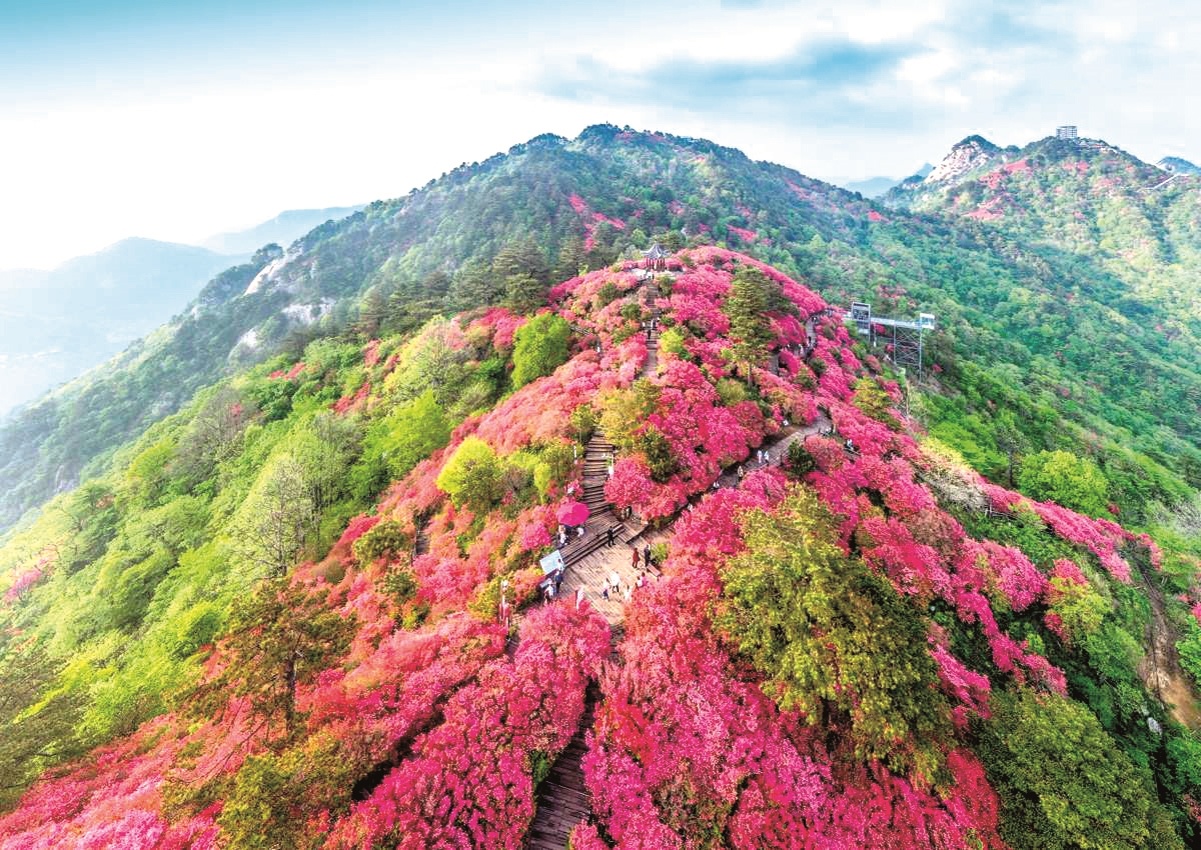 600人专列邂逅国际团 麻城龟峰山花式宠客