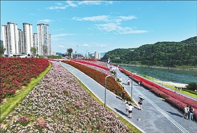 从工厂围江到花海绽放，岷江畔大变样