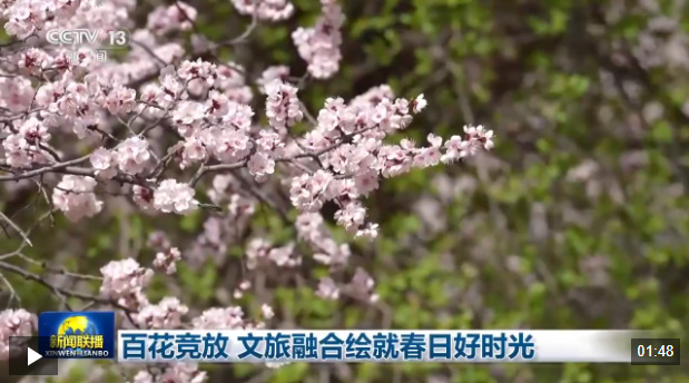百花竞放 文旅融合绘就春日好时光