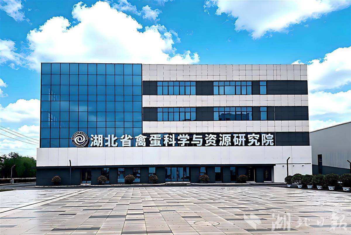全省首家！湖北省禽蛋产业技术研究院获批通过  打造禽蛋产业科技创新高地