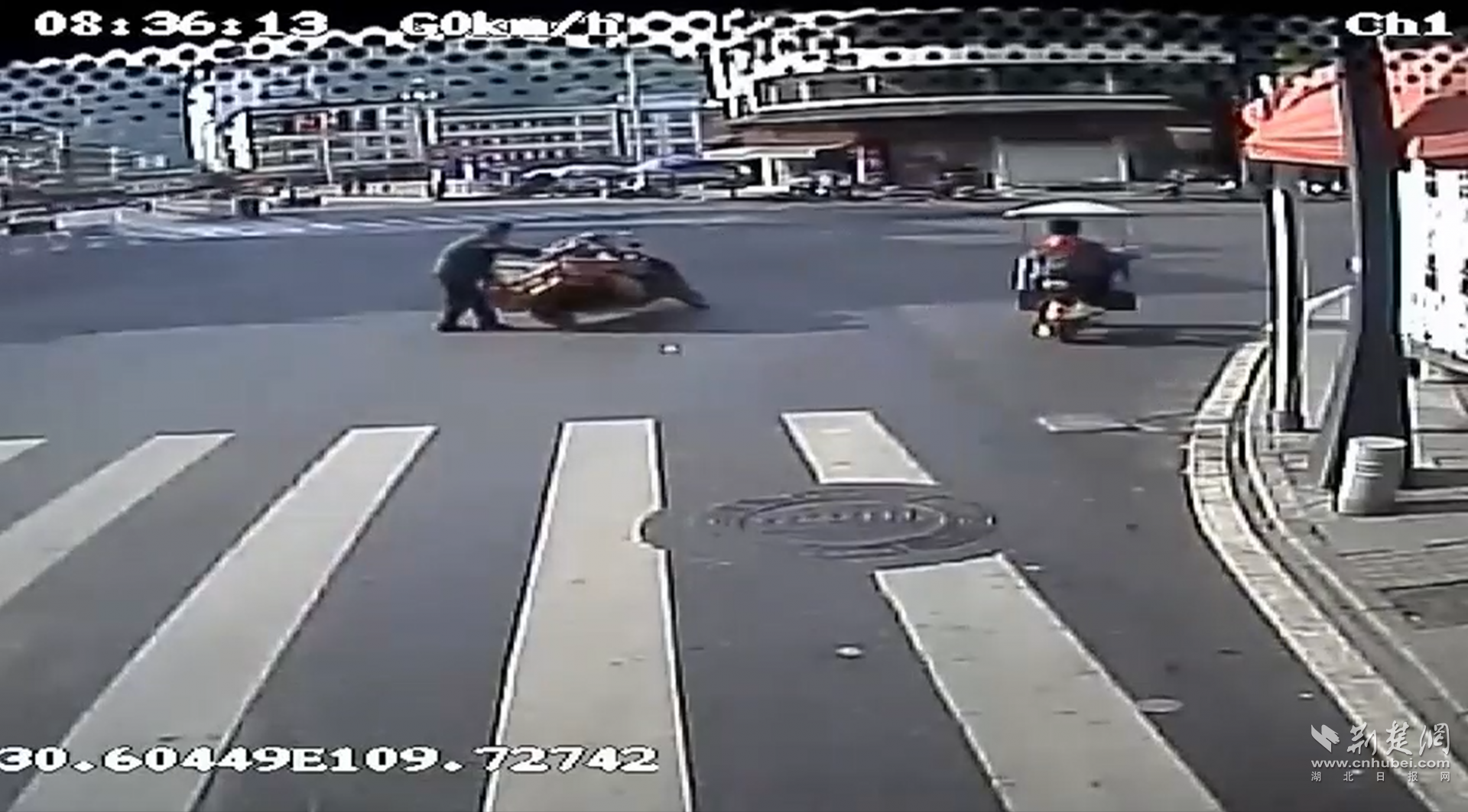 生死10秒钟！湖北退役军人救起三轮车下老人