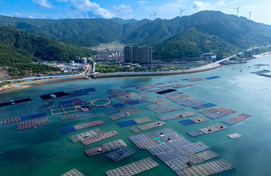 China's ocean ranches redefine fish farming