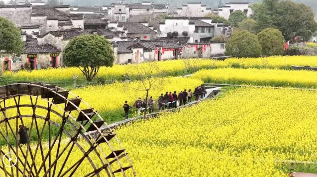  Xinhua Headlines: Digital memorials and spring break reshape China's Qingming Festival