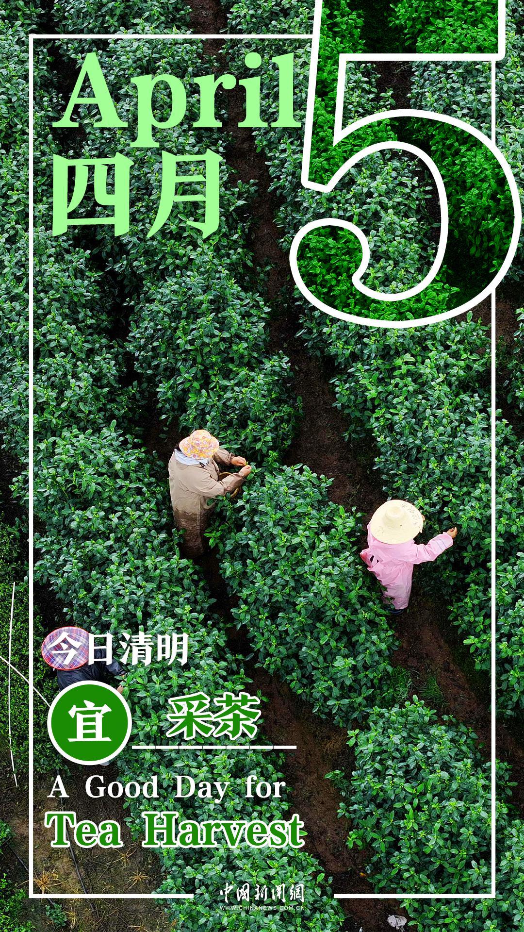 Qingming Festival holiday drives tourism surge